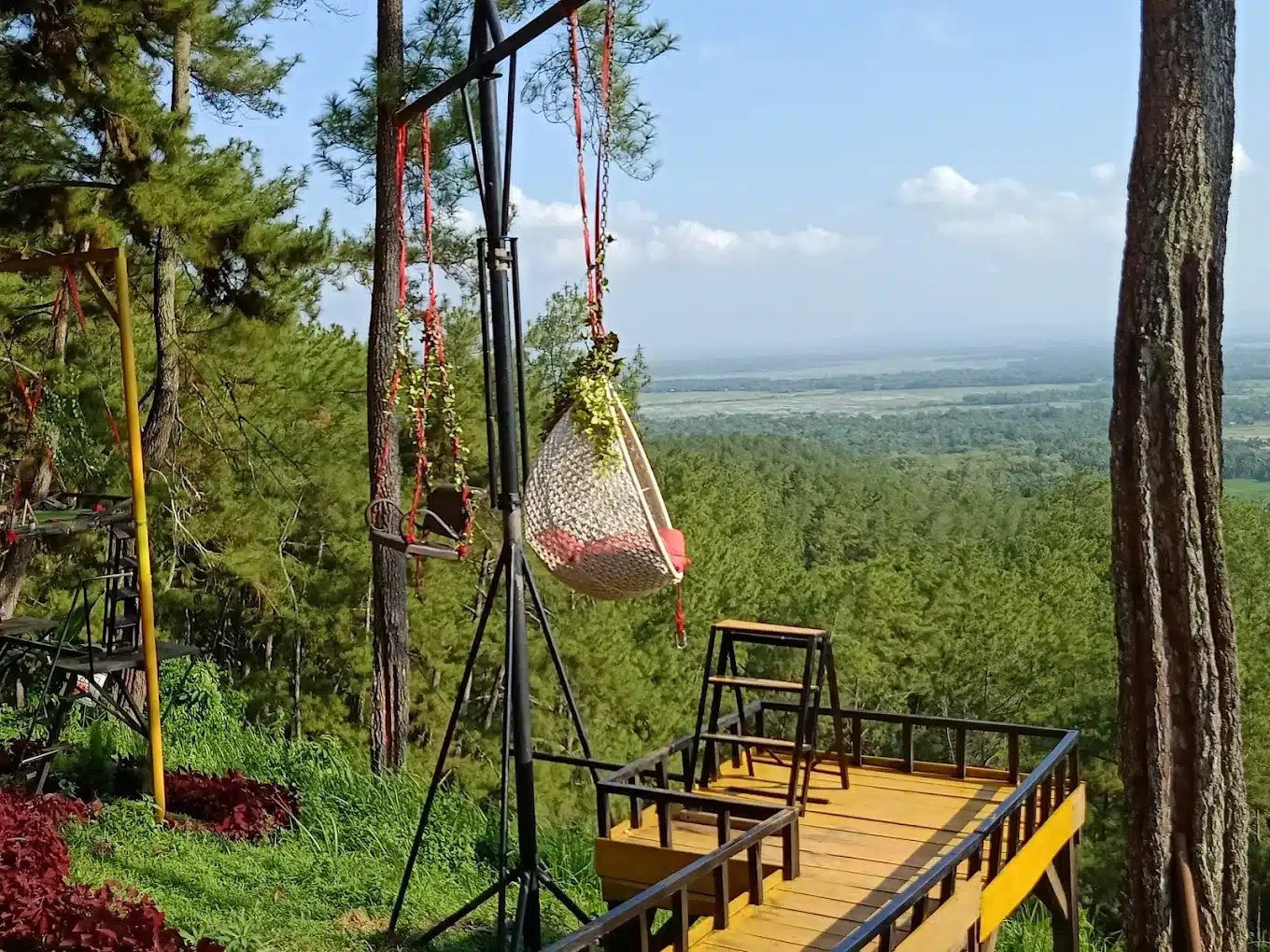 Rahasia Liburan Seru di Cilacap: King Tour & Travel, Teman Setia Wisata Anda